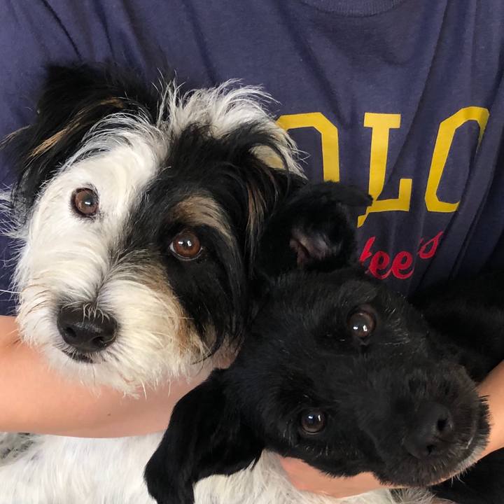 370dd7c9 8c00 4001 b3b4 94d273b412dc 1570580631178