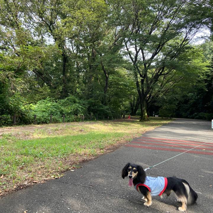 370e2d26 c695 4072 9741 60373a9e3a16 1723938778866