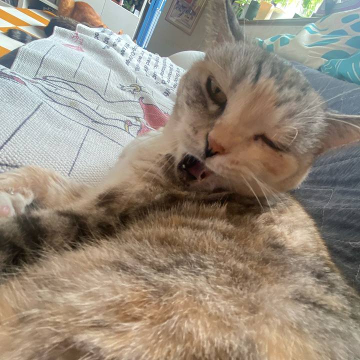 370e5279 8acc 497c b865 61406d553602 1696730728981