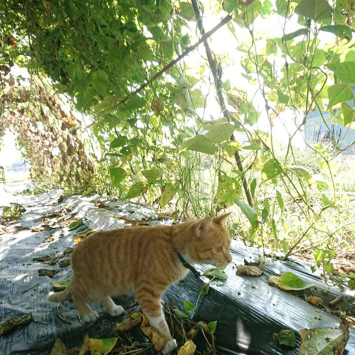 370e6544 3ff2 45ab 81dd 391880aa4c3f 1567908272958