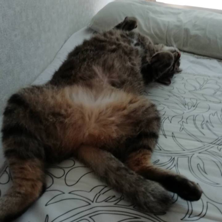 370ebd30 92c5 4868 96f9 fb7d19d13b7b 1532071595977