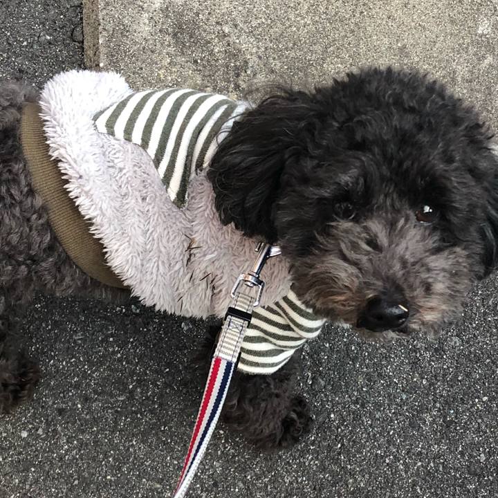 370ec13b 4f1c 4043 ae0e 0c7cb962ad19 1608633421968