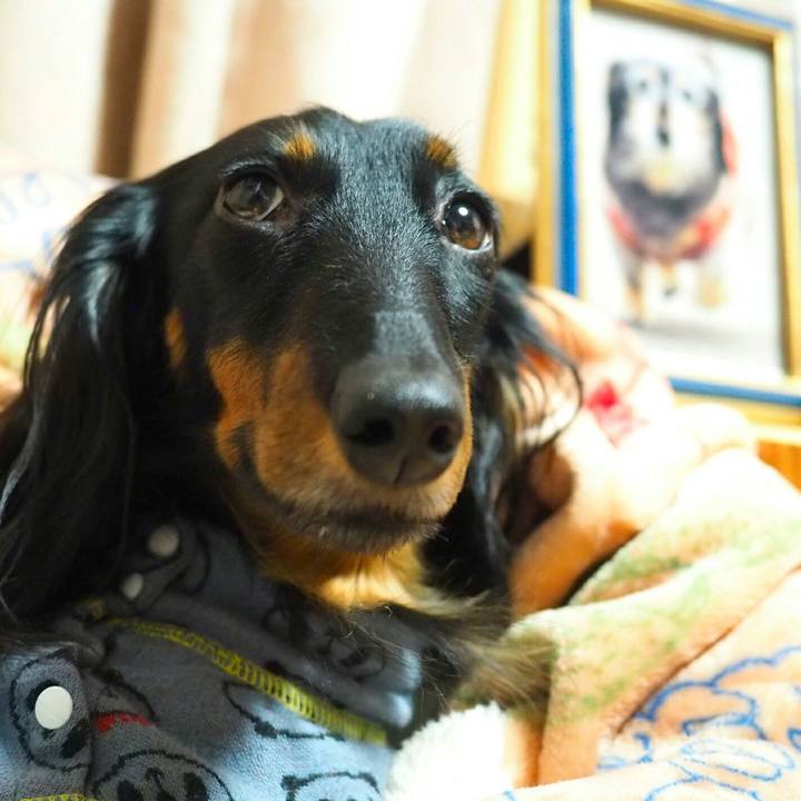 370ecf09 5dc8 44d0 a70b c04c4514d634 1520776252554