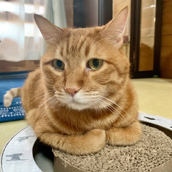 370ef07c cafd 4838 b1f6 c0fdf5ba3c26 1570765909755