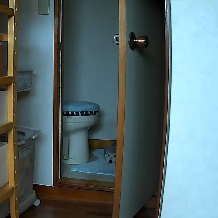 370f41cf 491c 49d3 a319 7e85edb045d1 1721578091147