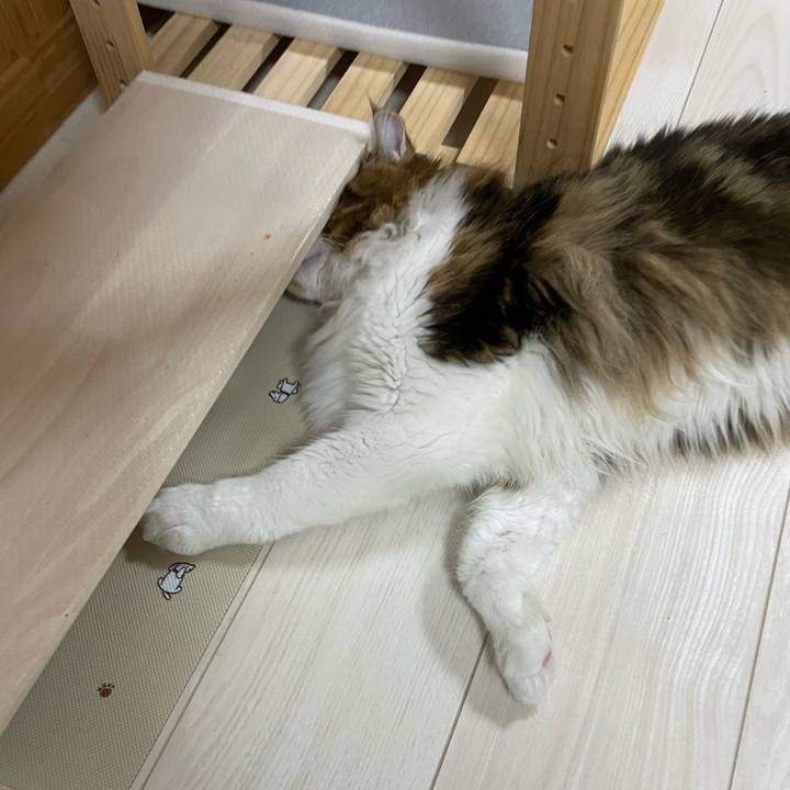 370f52e0 8eb3 43c9 be78 db16947013cb 1647003926359