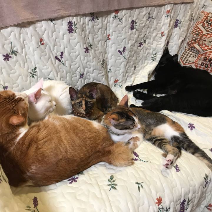 370f925e 2241 451a bde9 c9c261ff265d 1602928852911