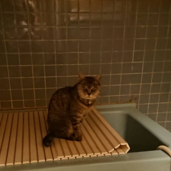 370f9e4a 6050 45db b926 a2a72974dfc0 1572600481566