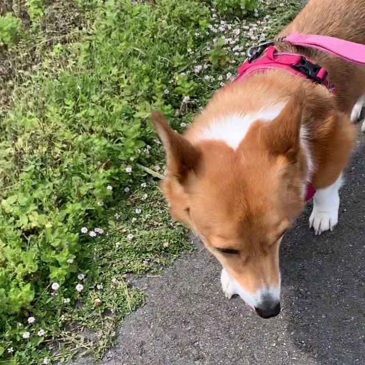 370fa072 0476 4afd 8c63 1e47d2cd1995 1686185880710