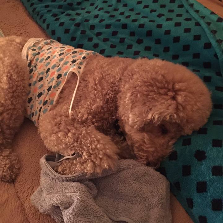 370faebc 8a1a 4625 8663 4967cb7a0c9d 1514868377285