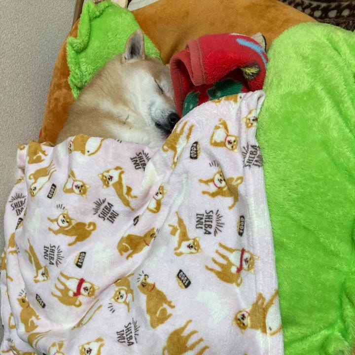 370fe080 efeb 447e bcb2 fc44a7552ae1 1614558845191