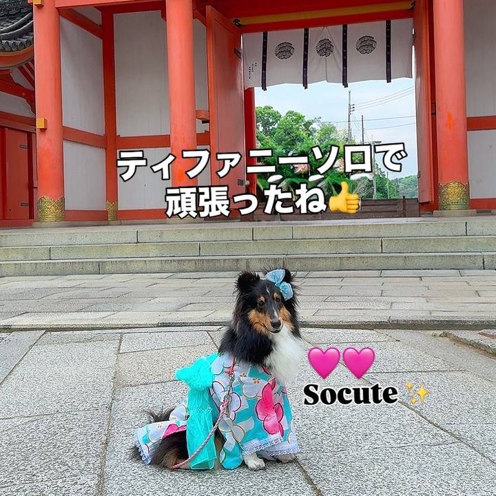 370fe7fe f407 4529 ad02 8ad584a1af8e 1749997429597