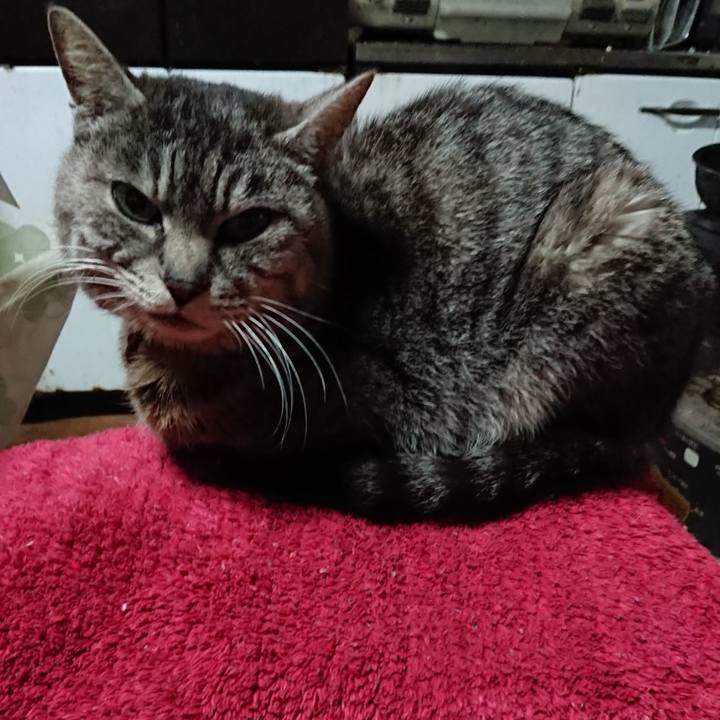 370fee03 9227 45f0 be3f 454c991d4a35 1552424605441