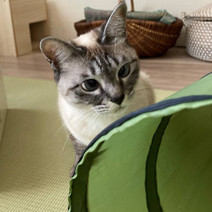 371000dc c902 416c 8786 d3f897c1d7f9 1614390058201