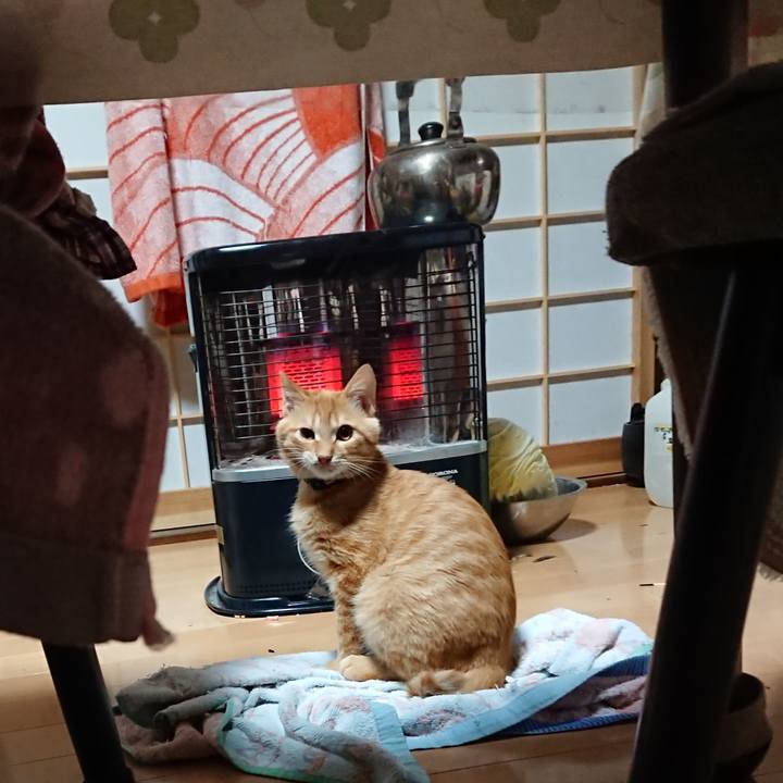 3710069e bc0f 42da be04 599bfd9b19dd 1634847746513