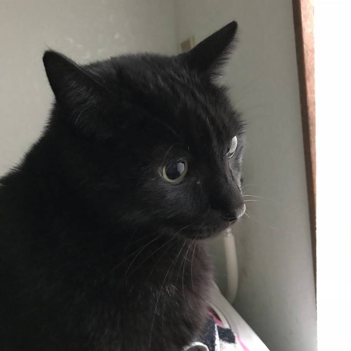 37103472 ec5a 4a60 92c8 4b9403050289 1519175803935