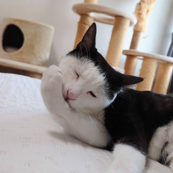 37104d4d b891 4807 9ea7 626d4dec7ac2 1630719270508