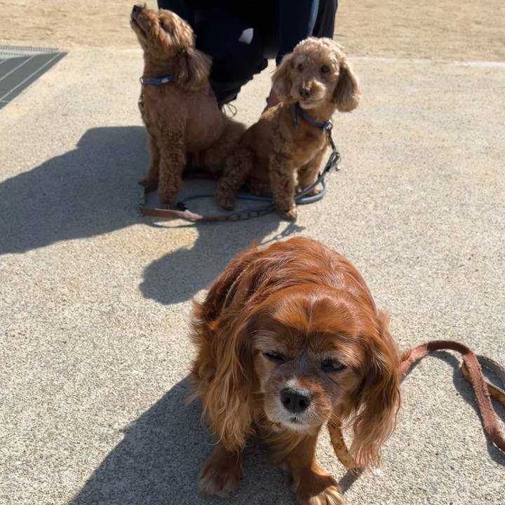 37105a12 cc3e 410b 9e86 26e2f5c52ef5 1715385405568