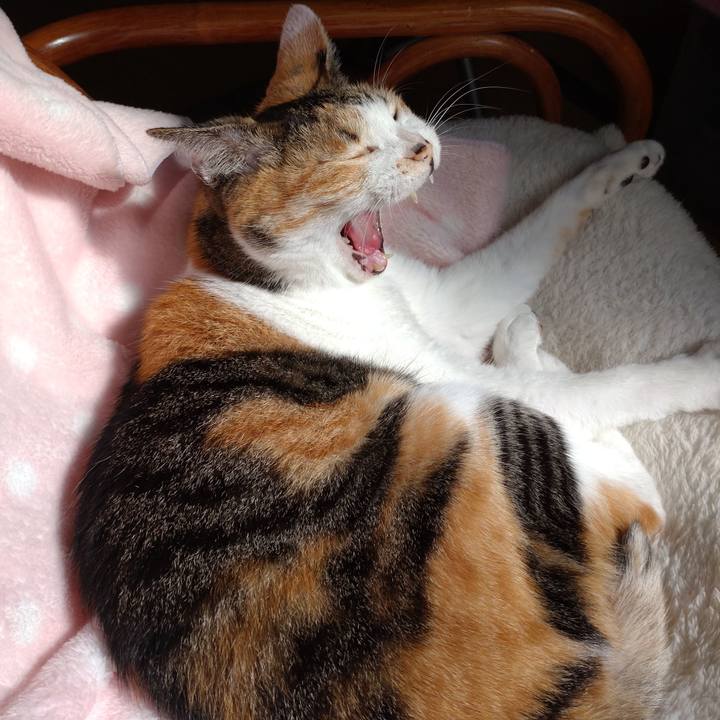 371067f5 3acd 42cd 8b43 8d41bc4a6700 1633753494712