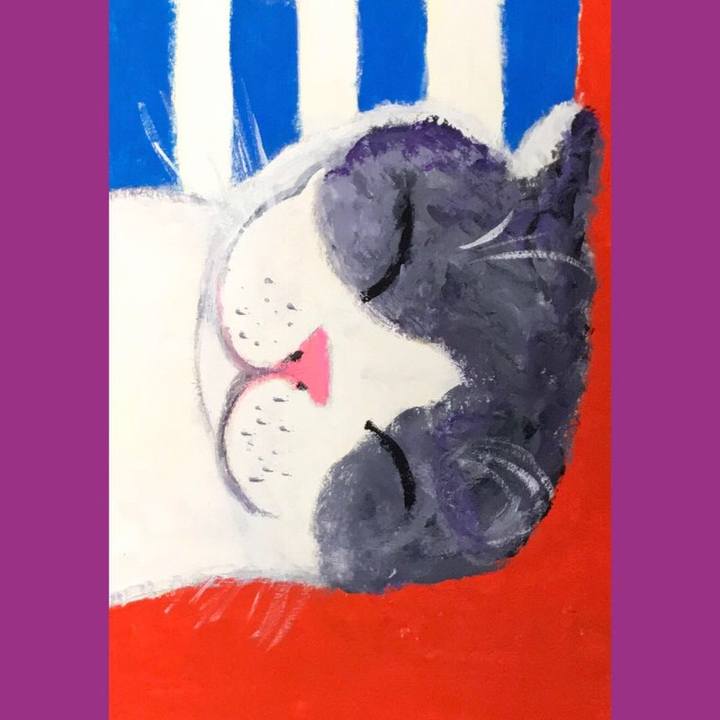 371069d4 4885 436b 87da 4f9f0e6b900a 1551452204456