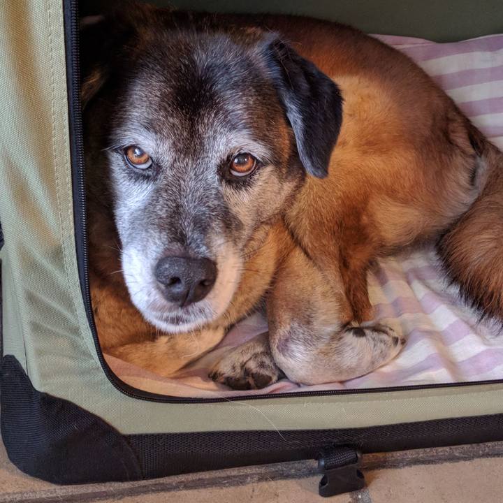 3710b90a 661d 4f57 a8e3 a497e3a5fddd 1529068057285