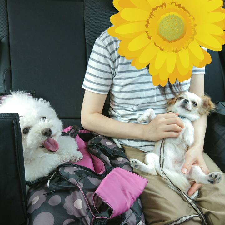 3710cd9f 9be9 491f a8c6 8f4941be38a4 1533859792488