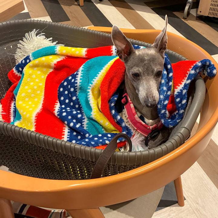 3710f223 0c65 4460 bc1d e3a27e864b46 1774167785050