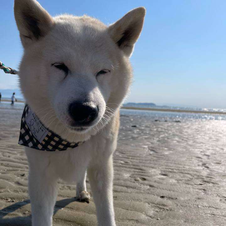 371102af f6f2 48a2 9caf c8c55eab5a18 1651725254072