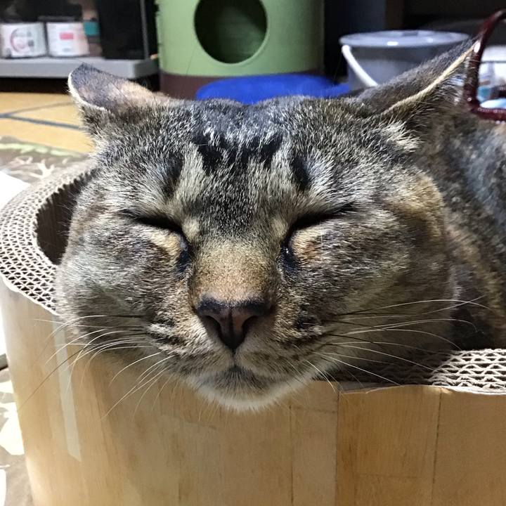 371124a7 cc99 4e16 956d 570121b37837 1743334075536