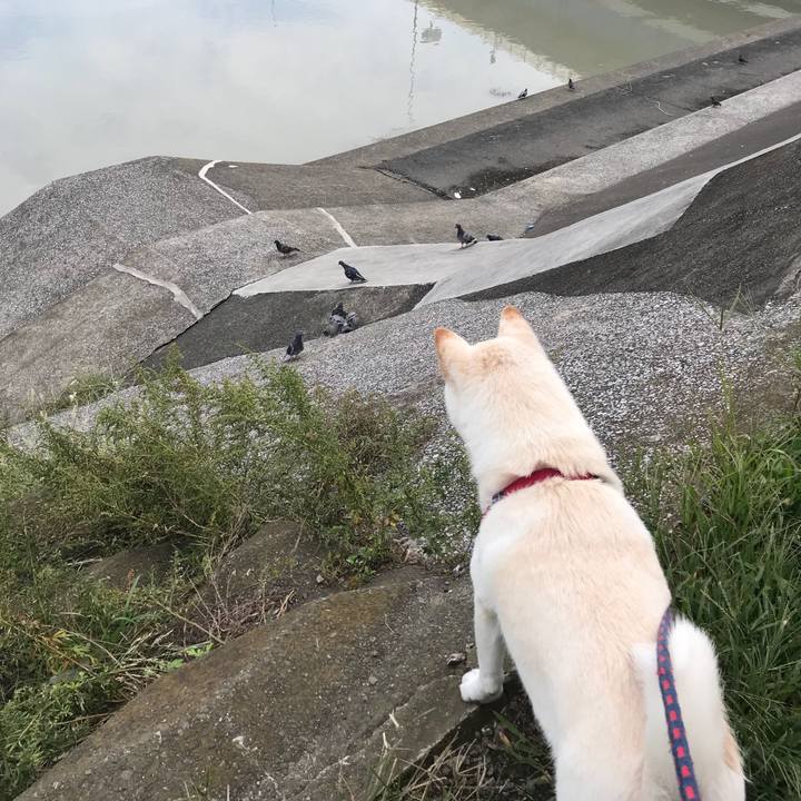 37112da2 ed3a 46f9 a172 7bebde4b3ebd 1538526175361