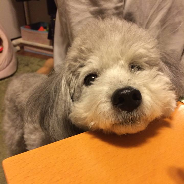 37112f6b 5655 45ee b023 55ba0d7e101d 1727673023336