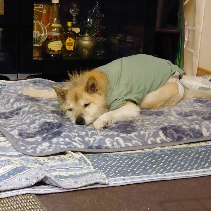 37116108 1ee5 47f4 94ce 1c84e6111b28 1647076877084