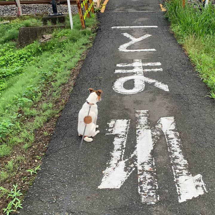 37116ba2 786e 426a 9abf 6963b57011c4 1593904597250