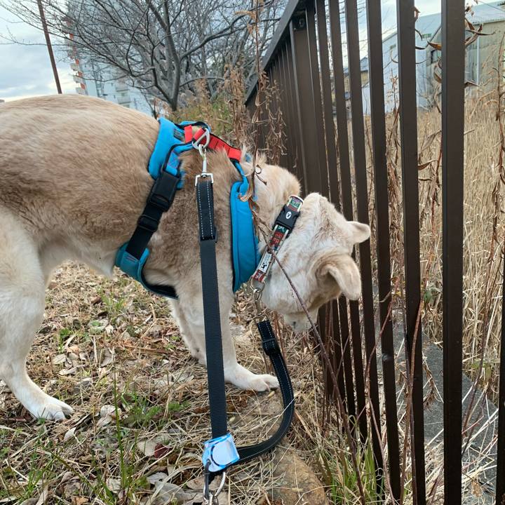 37117991 ffab 4a01 bca2 041e0fd6cd3a 1644713660774