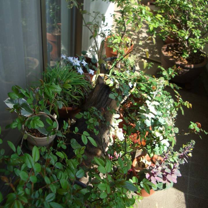 37118ef9 2fd7 4643 9390 3dbd3cfa479d 1572474938205