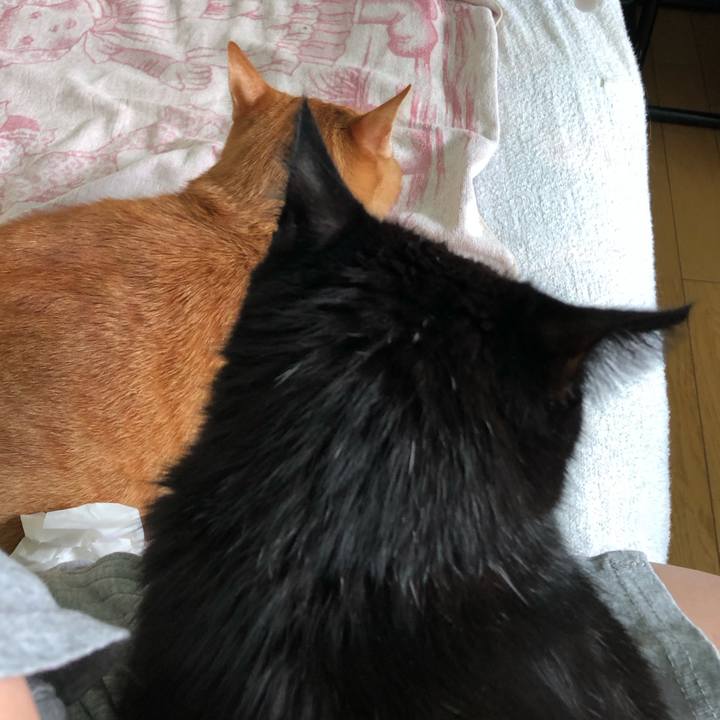 37119532 2717 4c80 b048 b547b65002e6 1568415758186