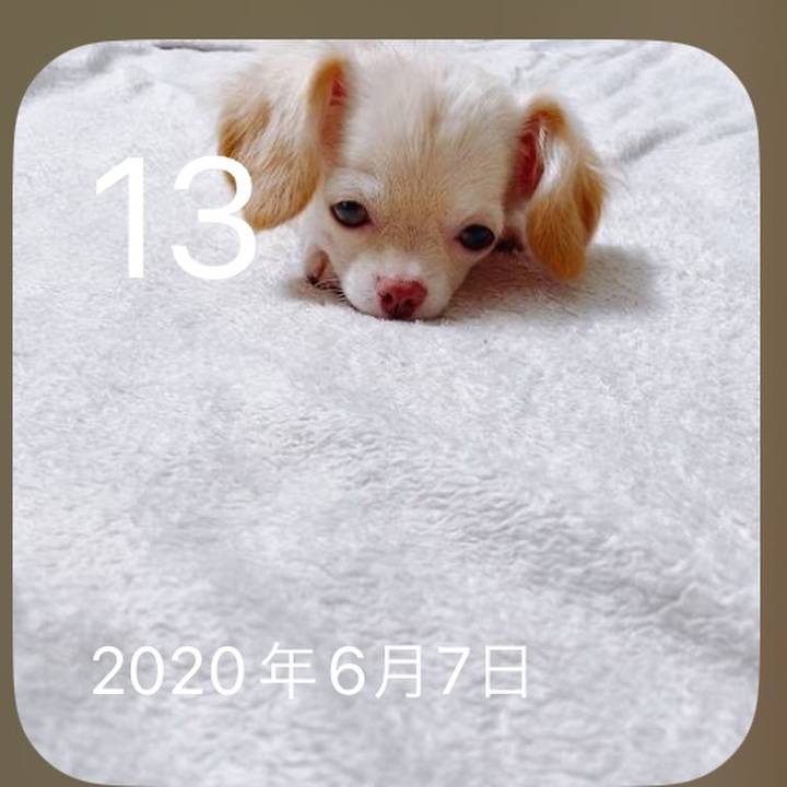 37119c4b eb77 4d62 83bd 443c22687172 1686646034178