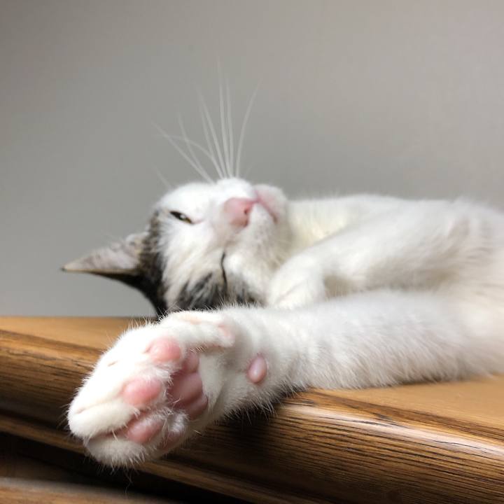 3711d384 183c 430f 957f f46dd0531e8f 1622286947564