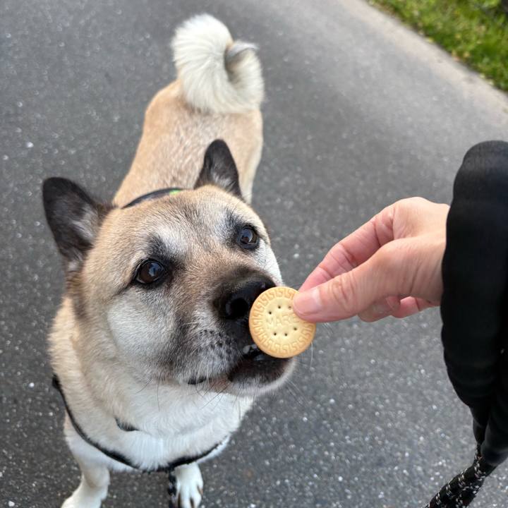 3711ee1a 0626 4eb9 9d59 59a6edc29286 1745499121467