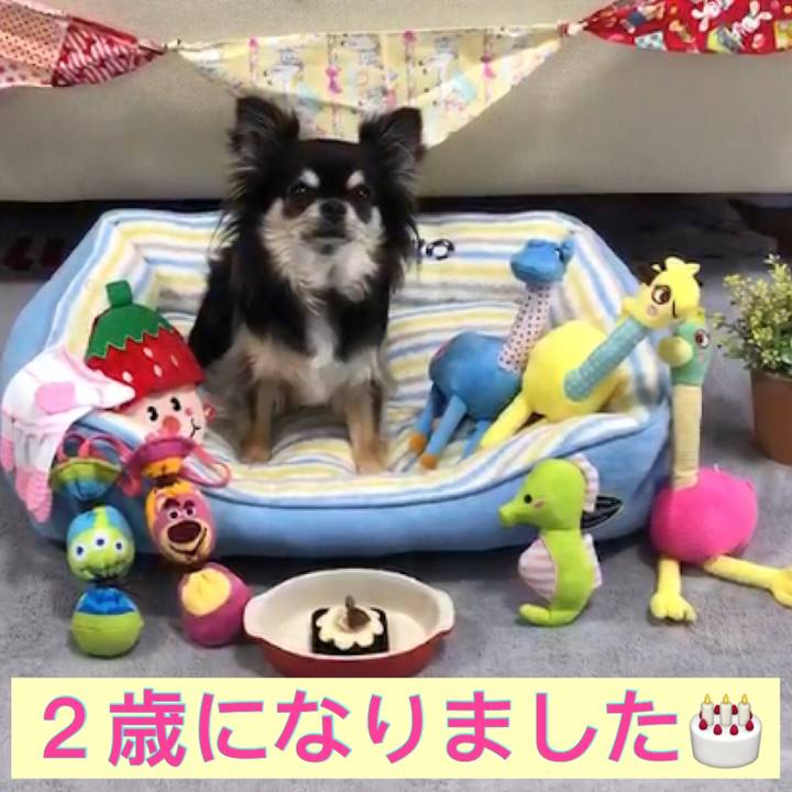 3711f8a1 98b5 4fbe 8071 f70d985a0dff 1591568298751