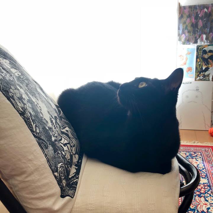 371212e7 12b3 428c 8525 4a95ec7d953f 1543114189506