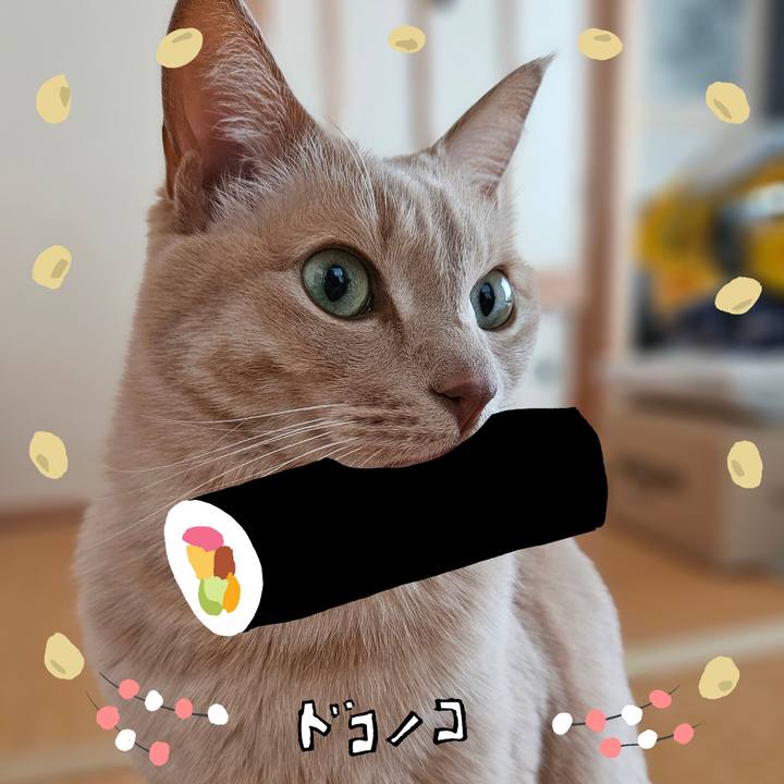 37124c63 a2b1 4a62 b851 2eeda355565a 1741501753846