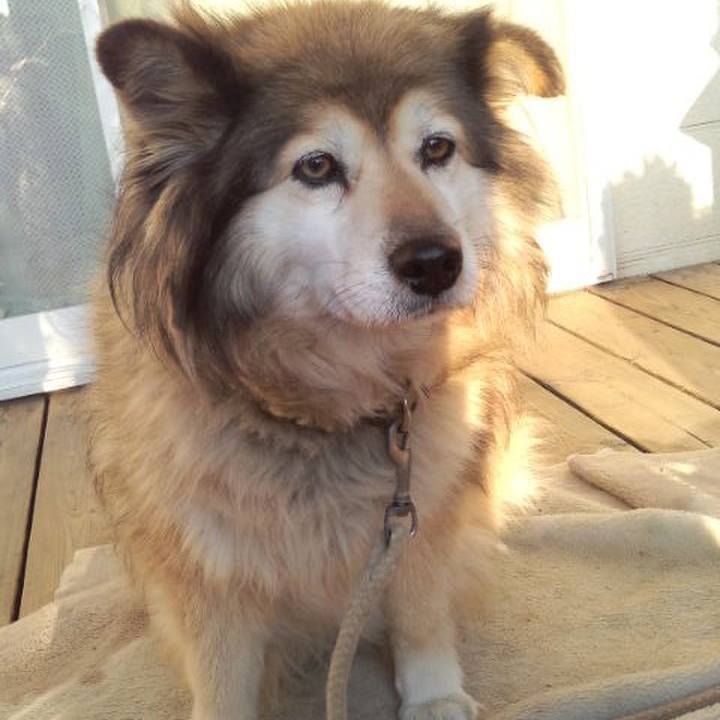 37125e8e 174e 4a8b a349 173639b210c6 1585003767445