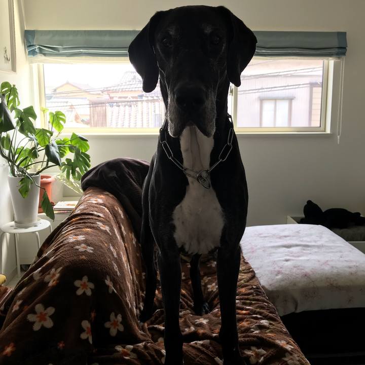 37127d16 e89d 4ea5 96af b9abac87409a 1520745313801