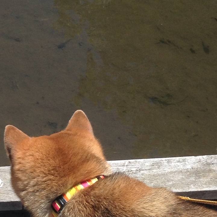 37129390 01b6 44da b330 2f96e4191f57 1526804182524