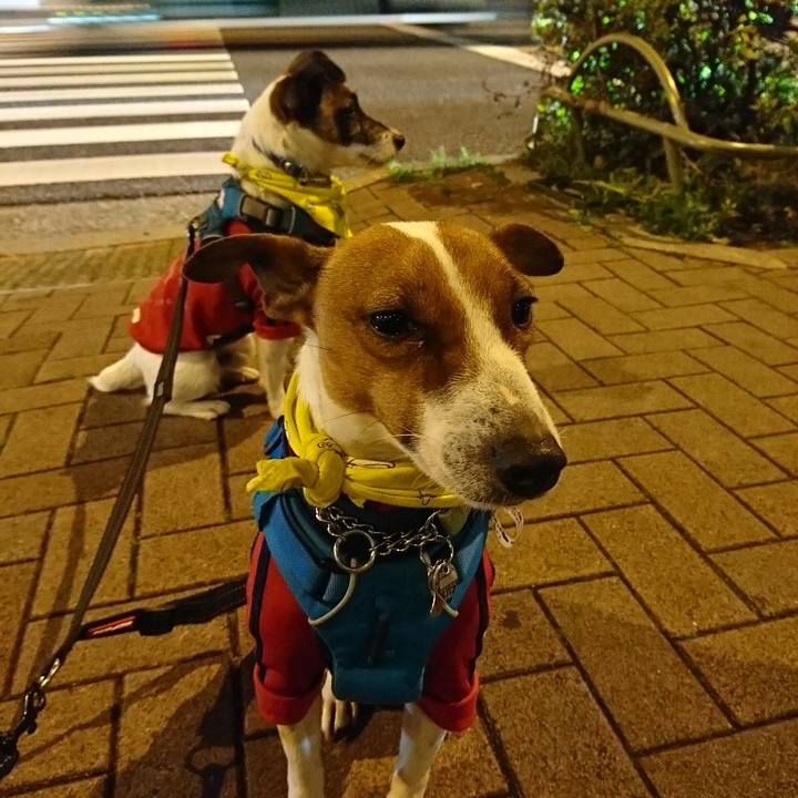 3712a9a6 f7eb 42d4 b0c2 2fc3cf01723e 1556363004635