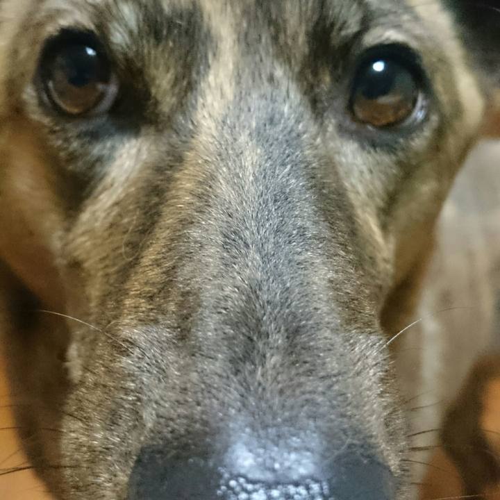 3712e60c 931f 43e5 af8c 25a9e801ef59 1511602682704