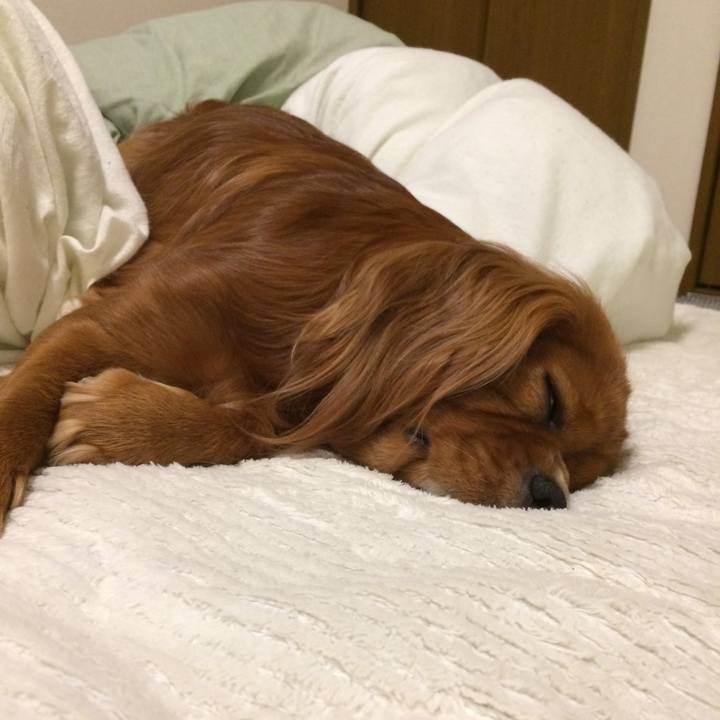 37131177 fda8 44f7 b188 87dbf12ffac4 1554991365759