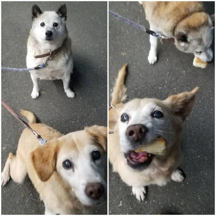 3713293b 2a36 48a1 a681 68ecdf4ece3a 1759060674910