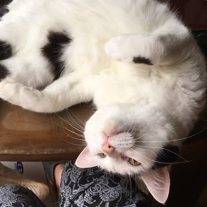 37132bff 3d40 46da a607 be3993d68c22 1566530880087